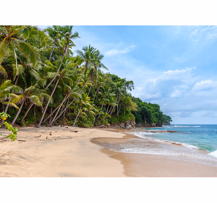 Fototapeter natur tropisk strand oas - Tenstickers