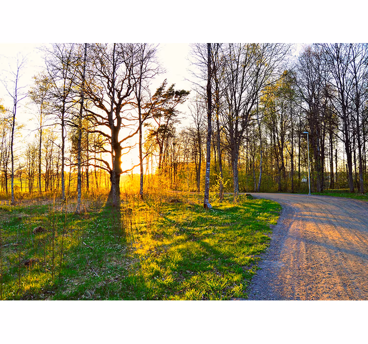 Parc grön bank natur fototapeta - Tenstickers