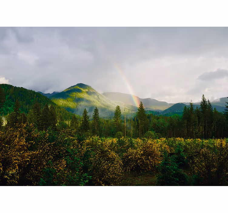 Utsikt över bergslandskapet Fototapeter Natur - Tenstickers