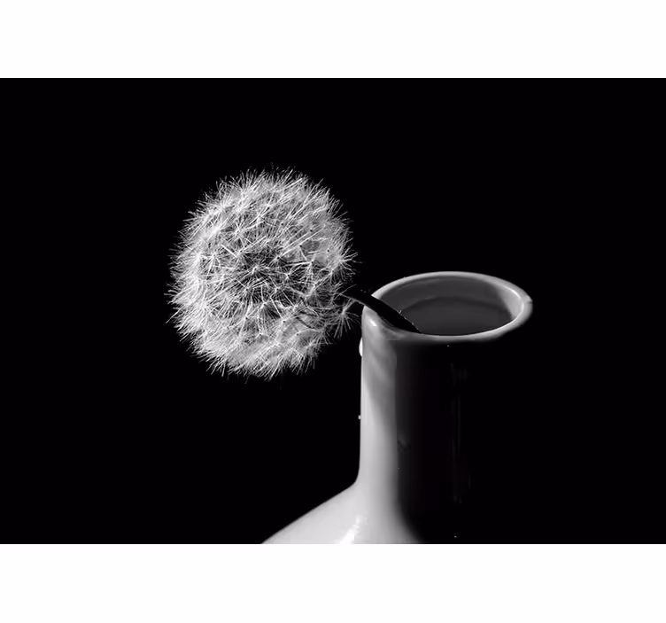 Fototapeter maskros dandelion i vas - Tenstickers