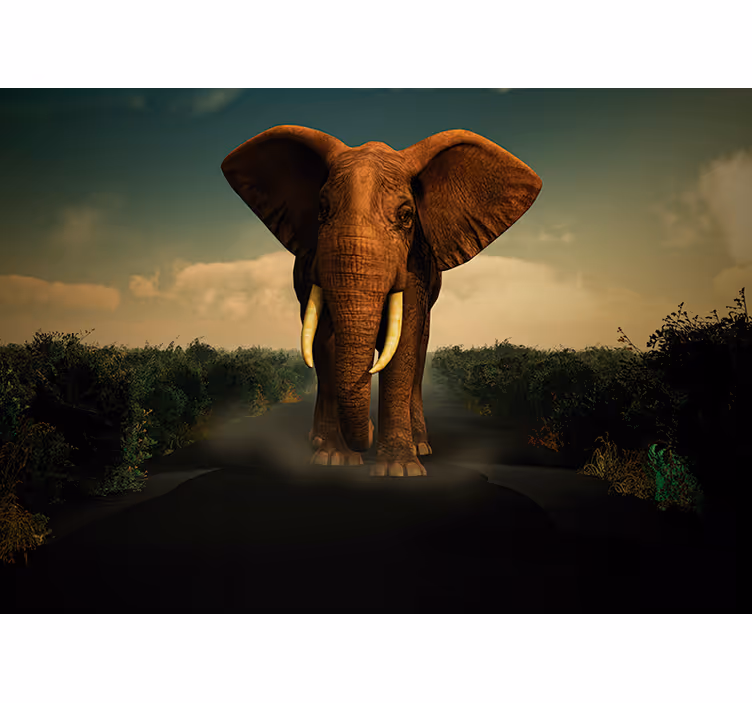 Fototapeter djur majestätisk elefant - Tenstickers