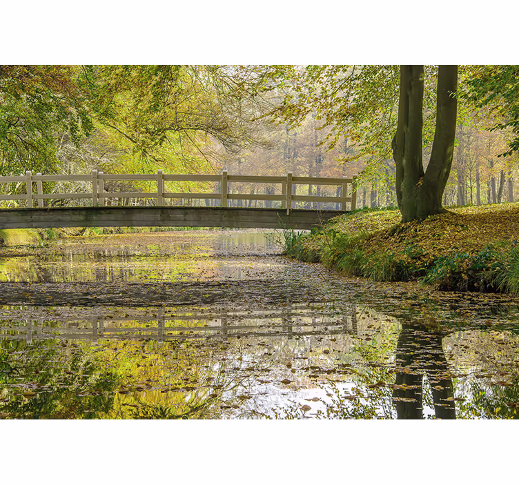Fridfull flodbro Fototapeter Natur - Tenstickers