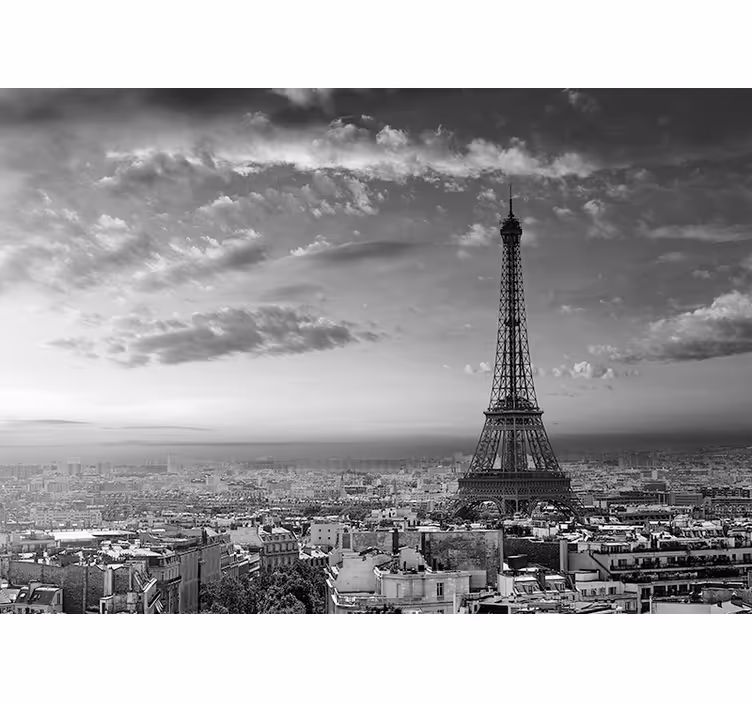 Eiffeltornet svartvitt paris fototapeta - Tenstickers