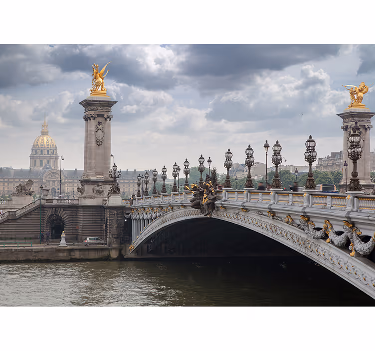 Utsikt över pont alexandre iii Fototapeter Städer och länder - Tenstickers