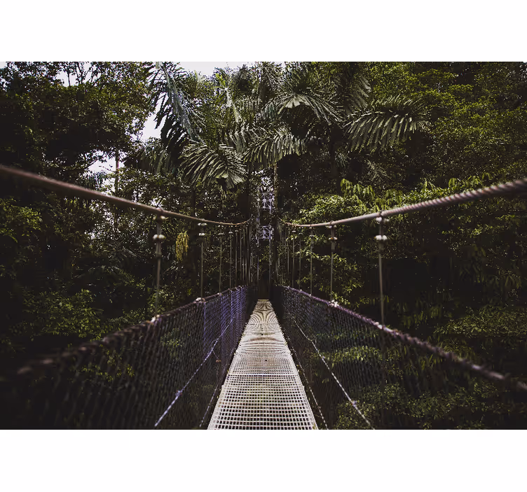 Bro i en djungel natur fototapeta - Tenstickers