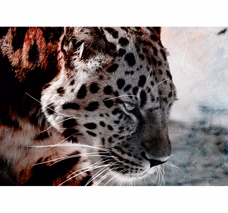 Leopardporträtt närbild Fototapeter djur - Tenstickers
