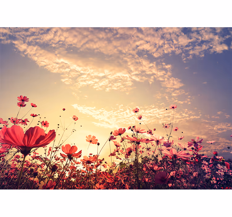 Landskap naturliga bakgrund blommor fototapeta - Tenstickers