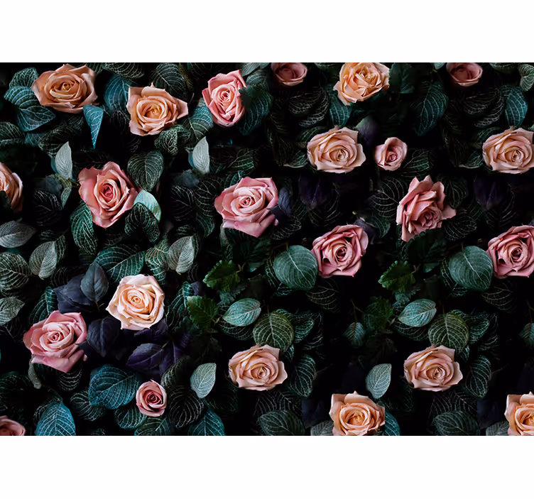 Romantisk rosblommig Fototapeter Blommor - Tenstickers