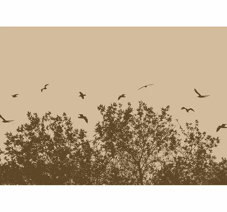 Flygande fåglar siluett Fototapeter Natur - Tenstickers