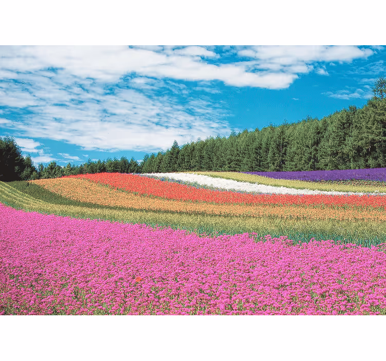 Fototapeter blommor livfullt blomsterlandskap - Tenstickers