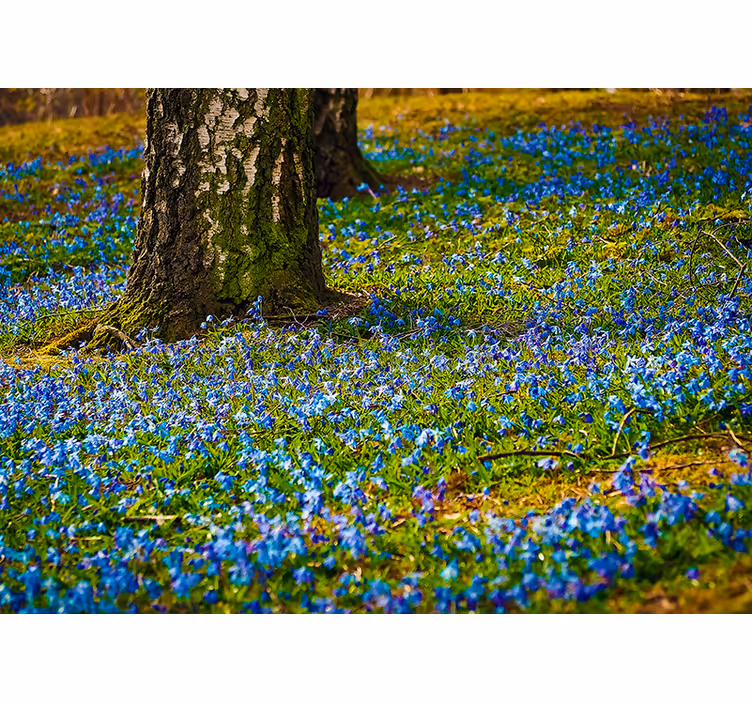 Blå blommor och en trädväggmålning - Tenstickers