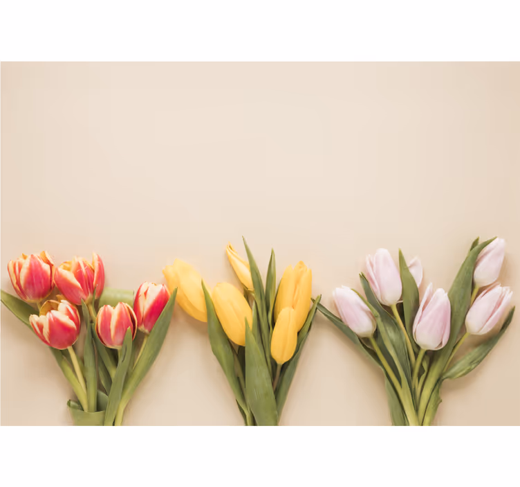 Fototapeter blommor färgglada tulpanarrangemang - Tenstickers