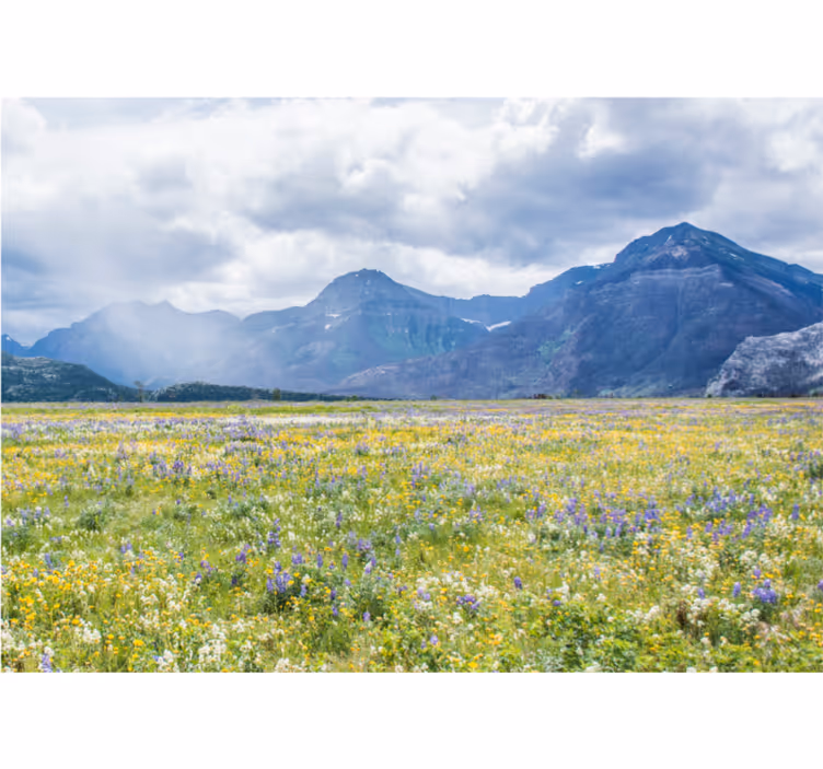 Små blommor fält fototapeta - Tenstickers