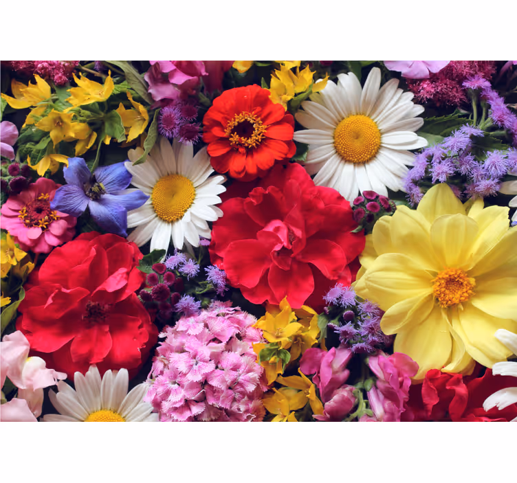 Fina blommor fototapeta - Tenstickers