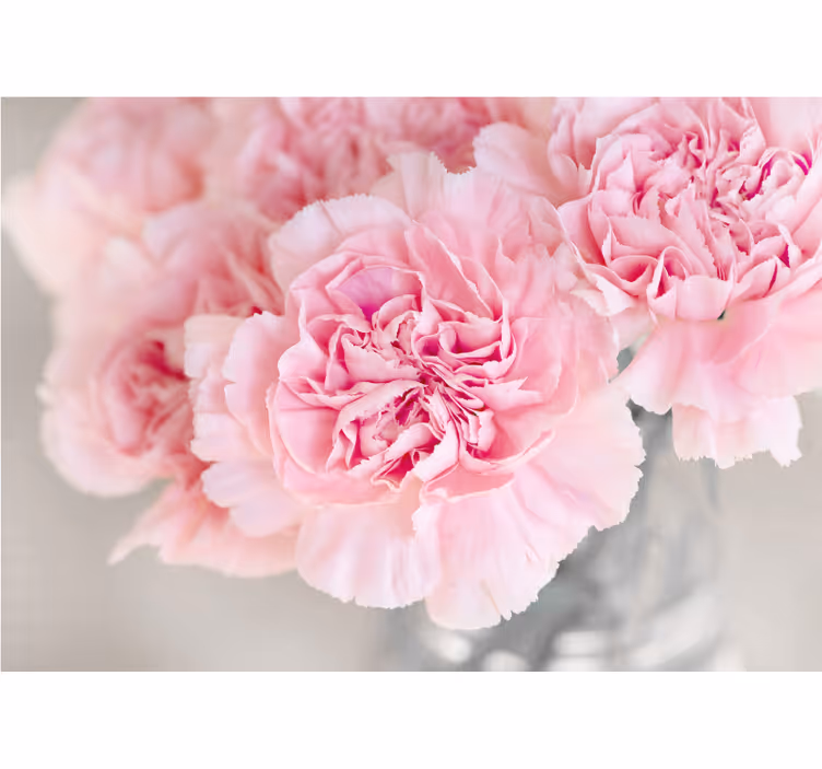 Fototapeter blommor ljuvliga rosa blommor - Tenstickers
