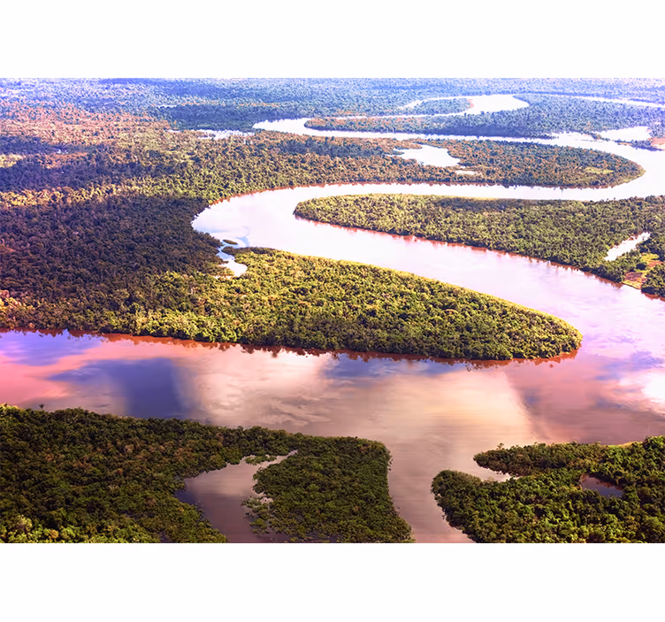 Amazon floden natur fototapeta - Tenstickers