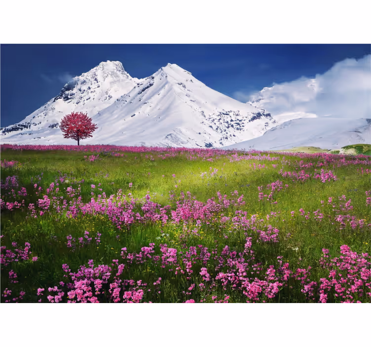 Snöiga berg blommar ut Fototapeter Natur - Tenstickers