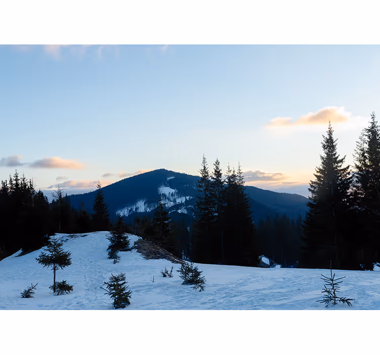 Fototapeter fjäll frostigt topp landskap - Tenstickers