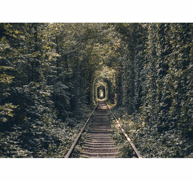 Fototapeter landskap järnvägstunnel natur - Tenstickers