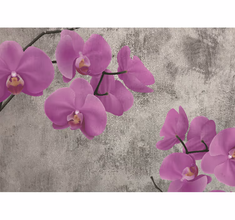 Fototapeter blommor rosorkidé blommor - Tenstickers