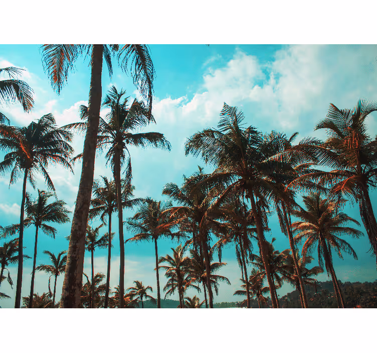 Fototapeter natur palmträdens paradis - Tenstickers