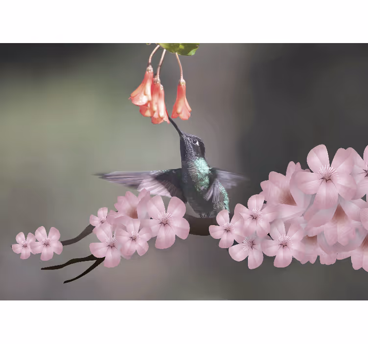Fototapeter djur kolibri och blommor - Tenstickers