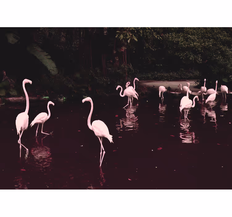Fototapeter kontor eleganta flamingos samling - Tenstickers