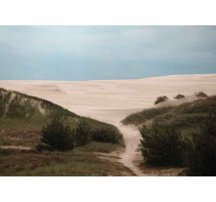 Slowinski nationalpark natur tapet - Tenstickers