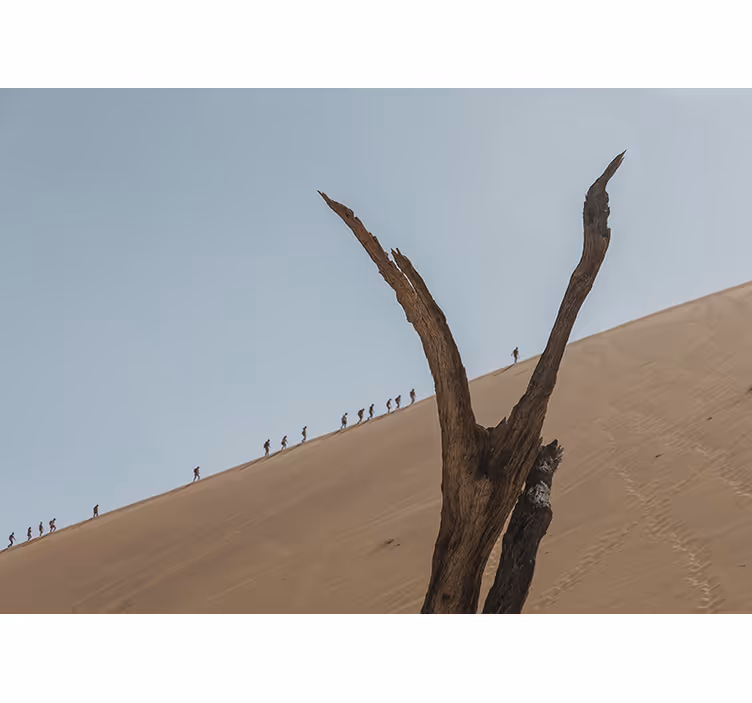 Dune vandrare siluett Fototapeter Öknar - Tenstickers