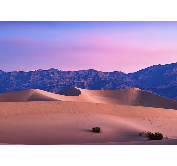 Fototapeter Öknar gyllene dunes landskap - Tenstickers