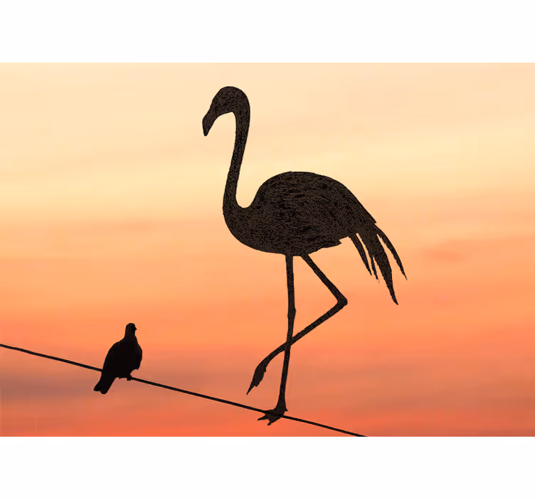 Graciös flamingo solnedgång Fototapeter djur - Tenstickers