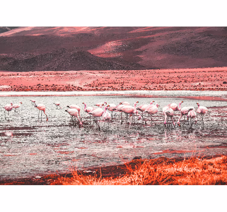 Fototapeter Övriga djur flamingos habitat scen - Tenstickers