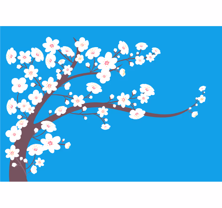 Fototapeter blommor sakura blommande gren - Tenstickers