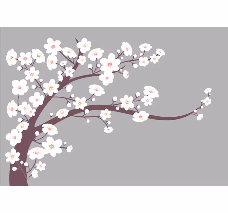 Fototapeter blommor blommande körsbärsgren - Tenstickers