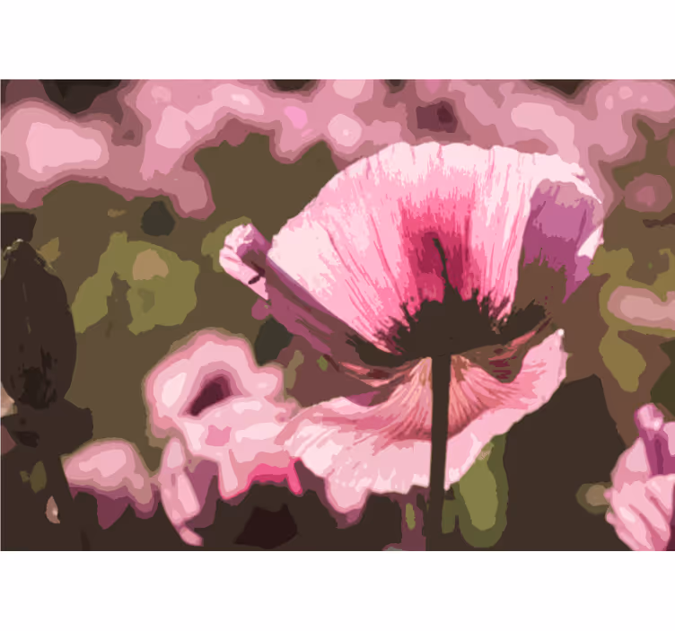 Måla rosa vallmo på fältet fototapeta - Tenstickers