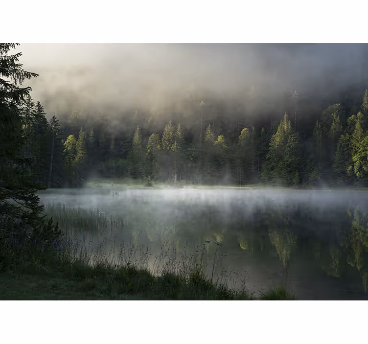 Grå dimmig soluppgång natur fototapet - Tenstickers