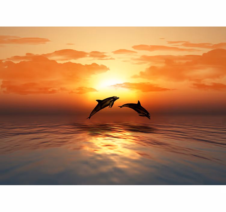 Fototapet delfiner hoppning kväll natur - Tenstickers