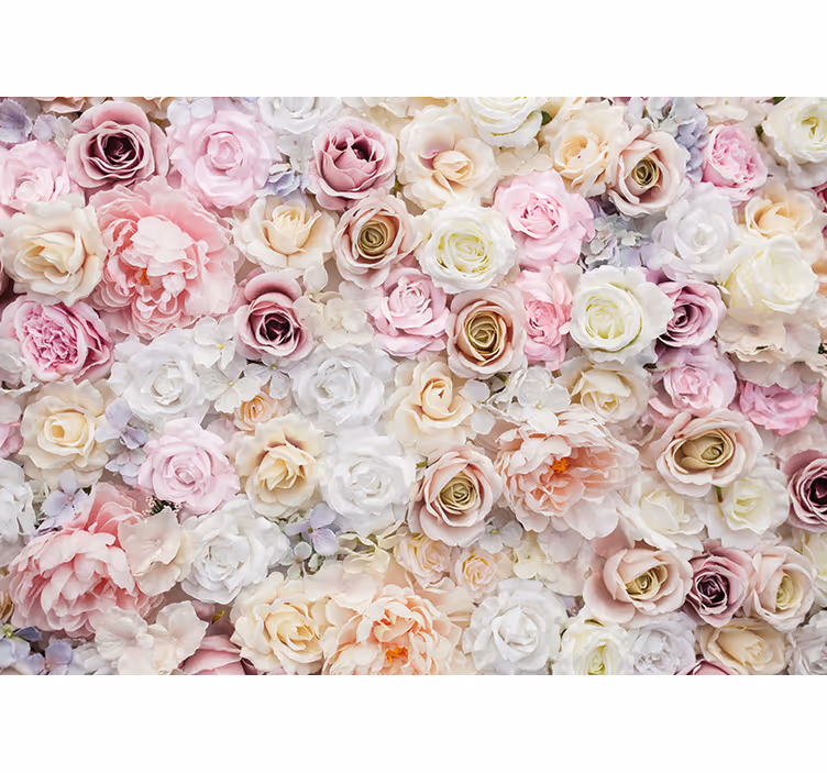 Fototapeter blommor rosblomskollektionen - Tenstickers
