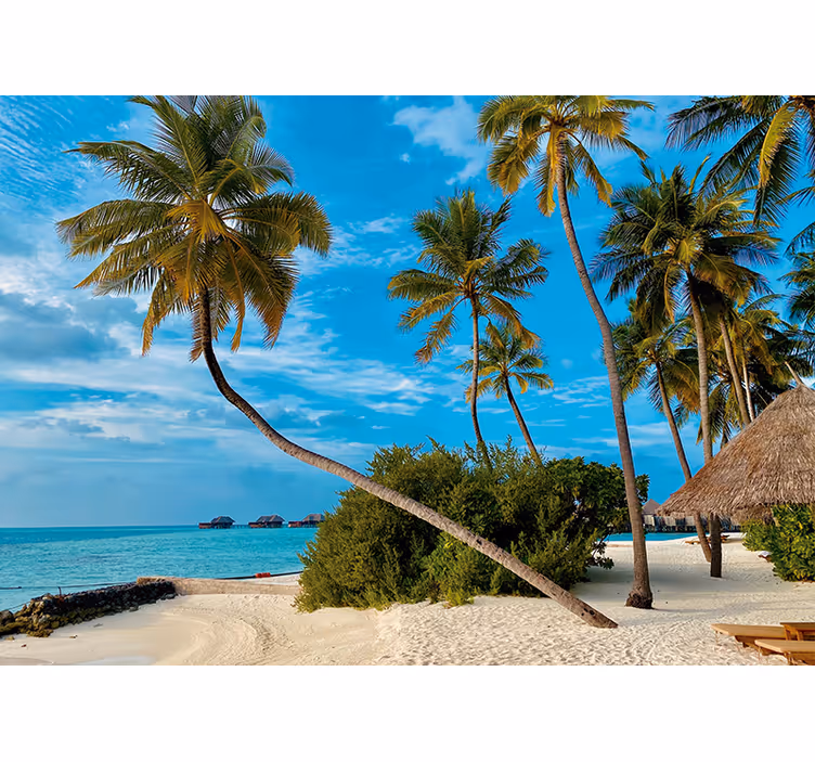 Fototapeter natur tropisk palm landskap - Tenstickers