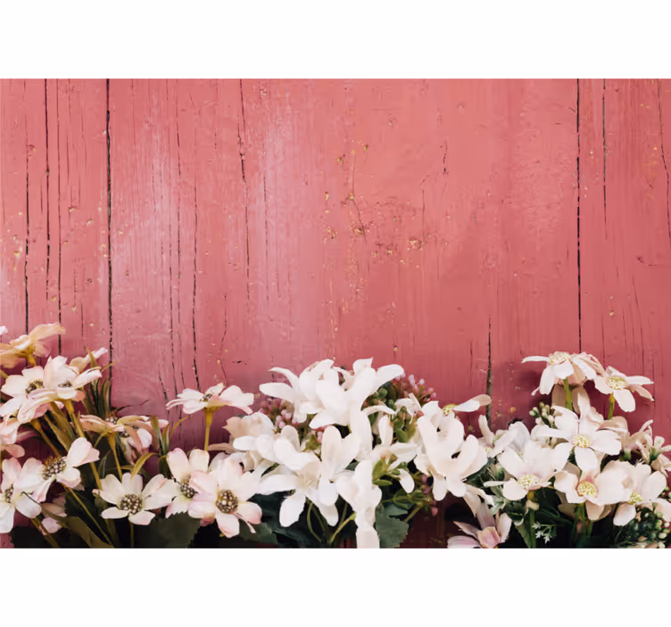 Fototapeter blommor delikata vita blommor - Tenstickers