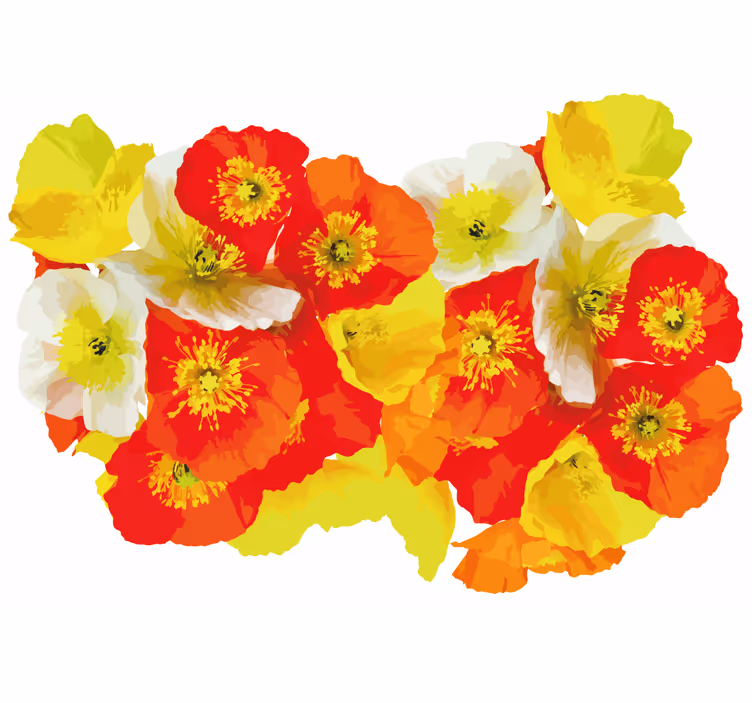 Fototapeter blommor poppyblomma komposition - Tenstickers