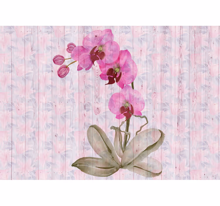 Fototapeter blommor rosa orkidéer - Tenstickers