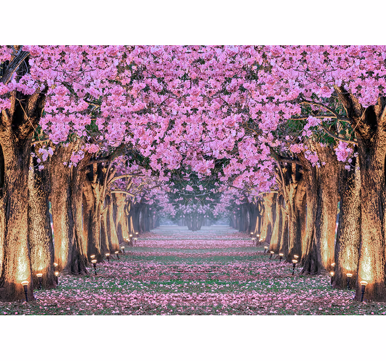 Vägg med träd och rosa blommor fototapet - Tenstickers