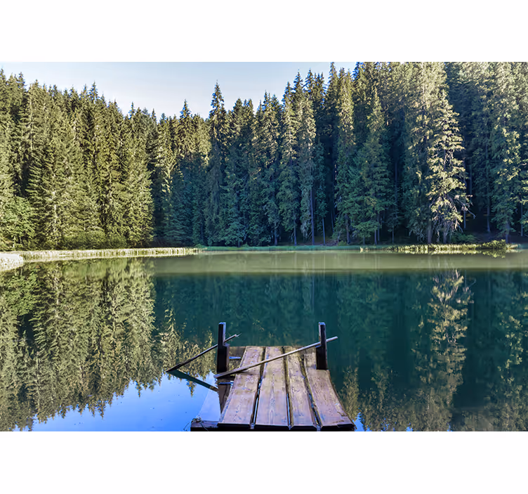 Fototapet sjö med gröna träd bakom skog - Tenstickers