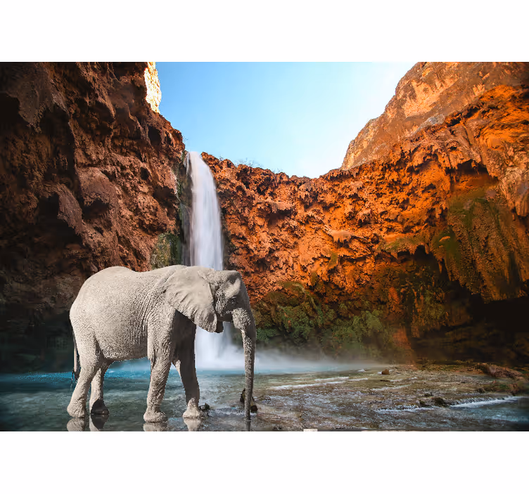 Fototapeter djur majestätisk elefant vattenfall - Tenstickers