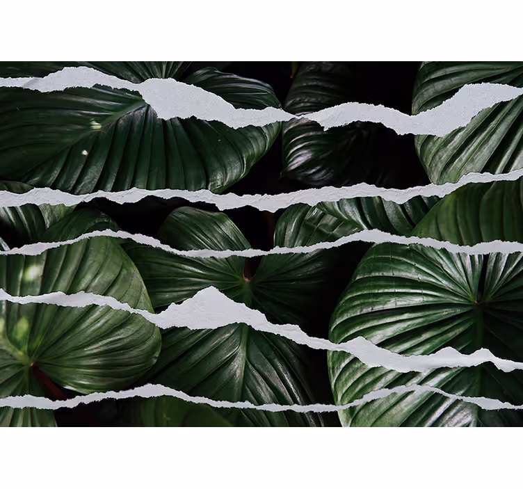 Fototapeter natur lummig bladdesign - Tenstickers
