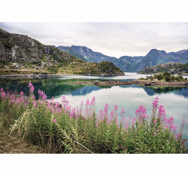 Fototapet grönt gräs med lila blommor - Tenstickers