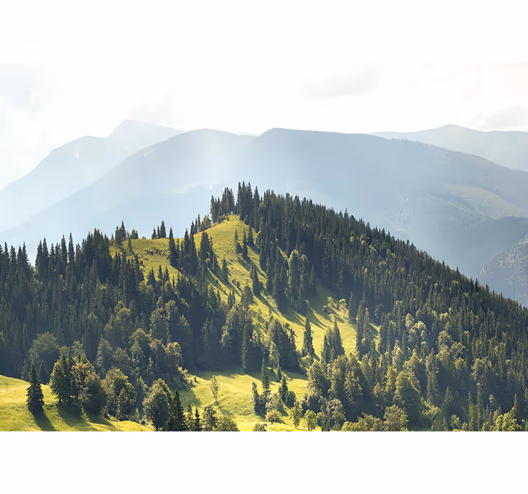 Fototapeter landskap bergskogscen - Tenstickers