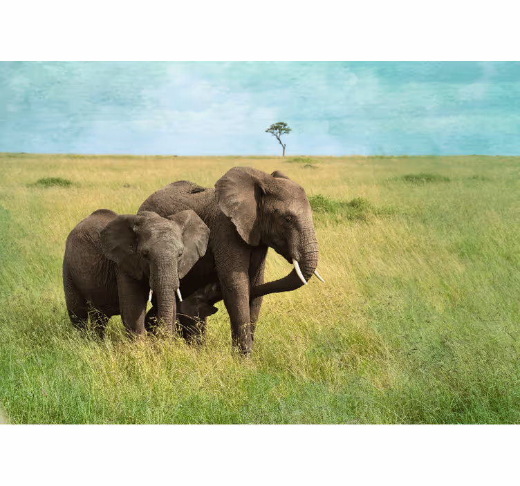Fototapet vilda djur savannen elefanter afrika - Tenstickers