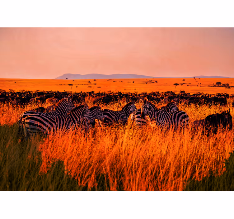 Vackra afrikanska djurliv afrika fototapet - Tenstickers
